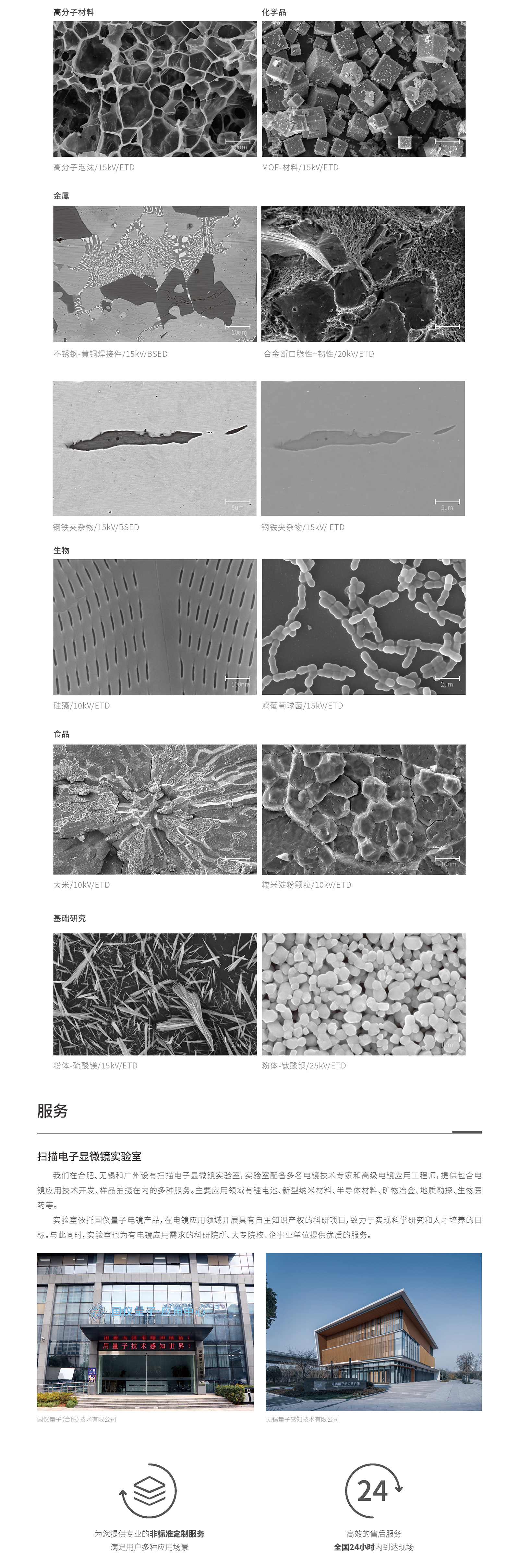 钨灯丝扫描电子显微镜 SEM3300 2